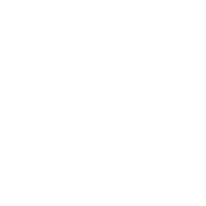DIAMOND IN THE DUMBSTER BEANIES