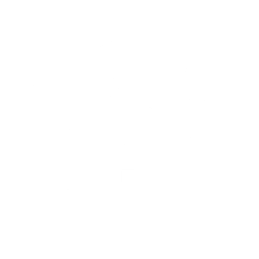 DIAMOND IN THE DUMBSTER TEE