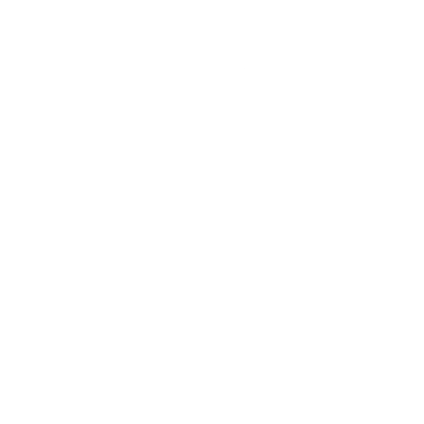 DIAMOND IN THE DUMBSTER LONG SLEEVE