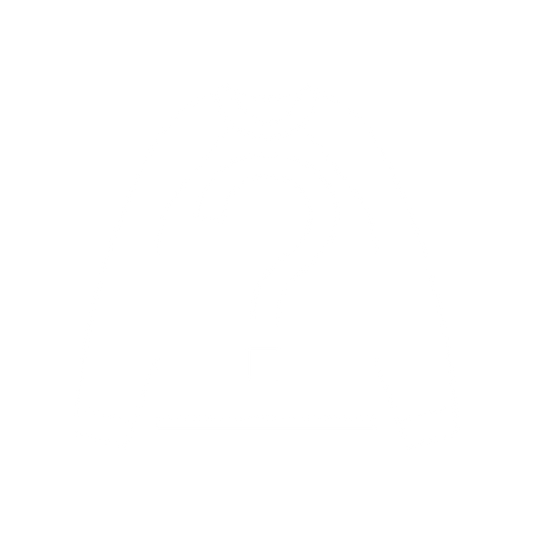 DIAMOND IN THE DUMBSTER LONG SLEEVE